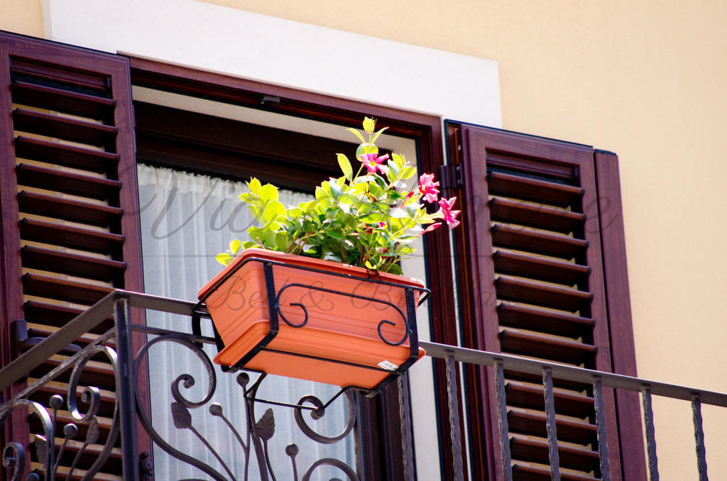 Viadelmare Rooms Monopoli Εξωτερικό φωτογραφία